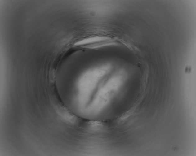 X0000092010528200709271532