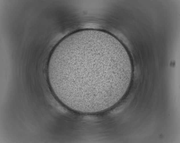 X0000092010529200709271531