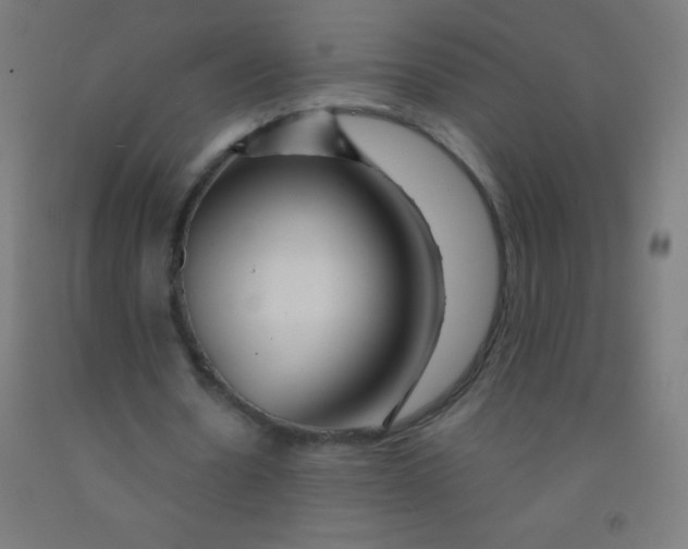 X0000092010530200709271531