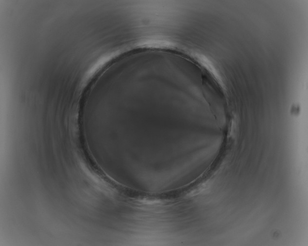 X0000092010531200709271531