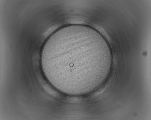 X0000092010533200709271531