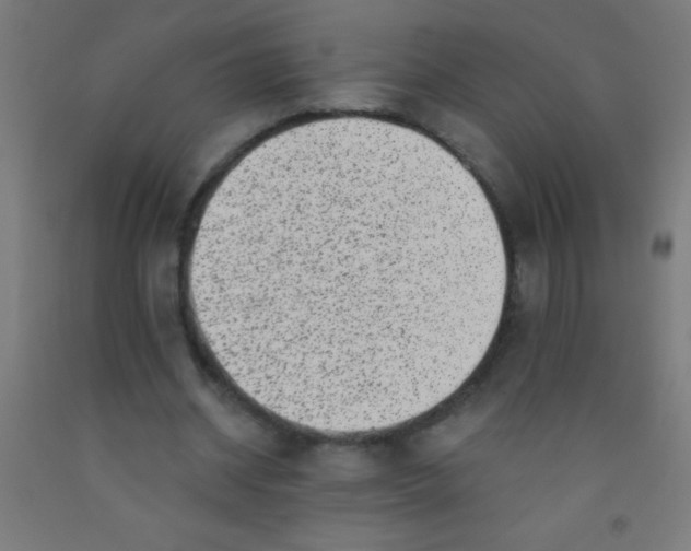 X0000092010534200709271531