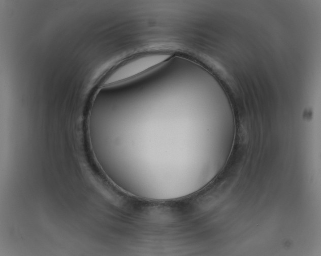 X0000092010535200709271531