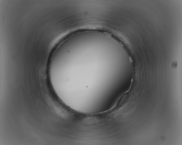 X0000092010536200709271531