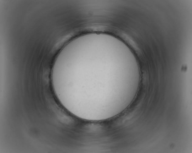 X0000092010537200709271531