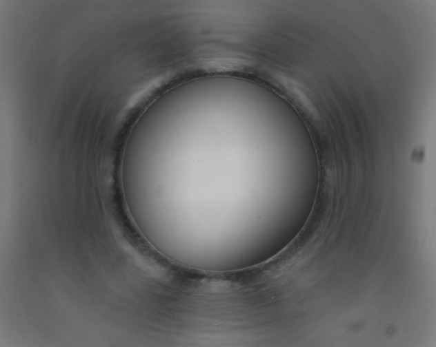 X0000092010539200709271531