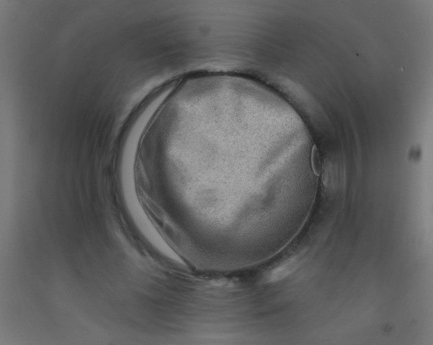 X0000092010540200709271531