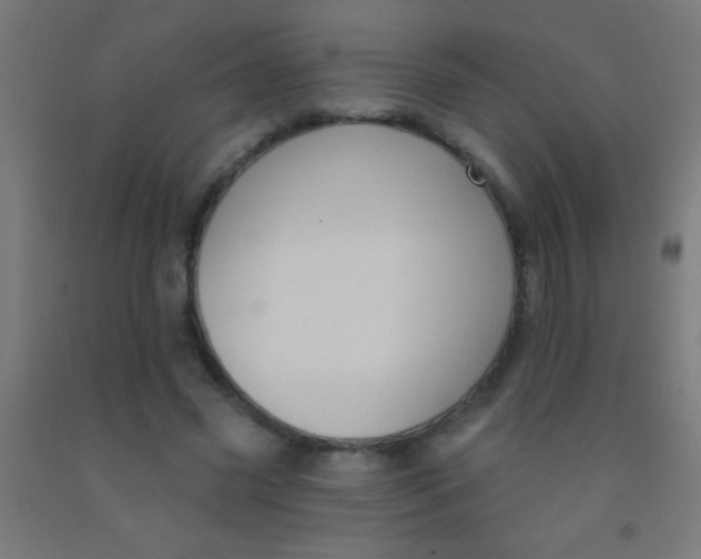 X0000092010541200709271531