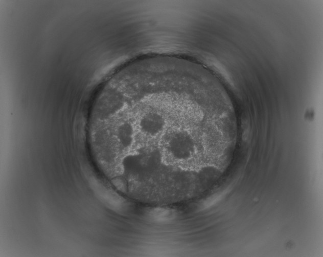 X0000092010542200709271531