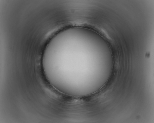 X0000092010543200709271531