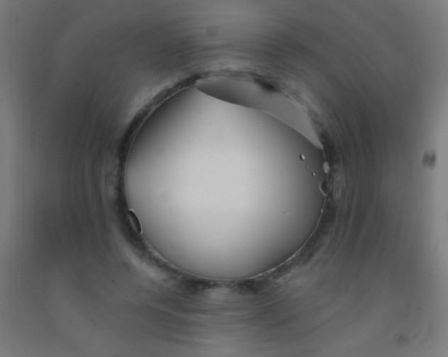 X0000092010544200709271531