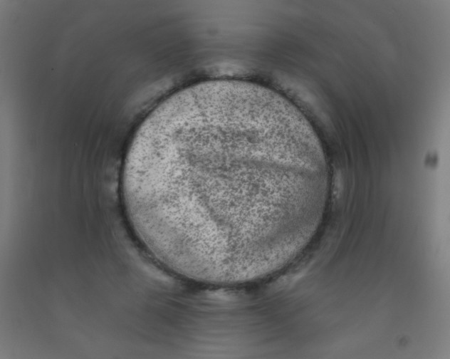 X0000092010545200709271531