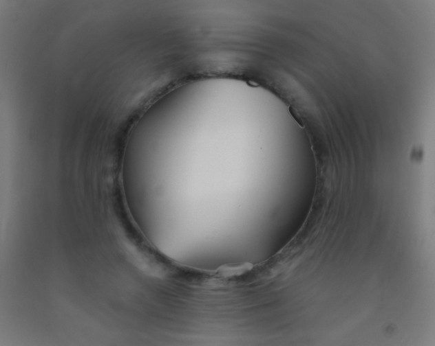 X0000092010546200709271531