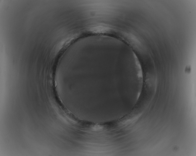 X0000092010547200709271531