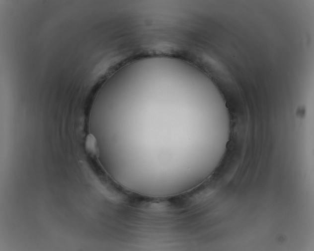 X0000092010548200709271531