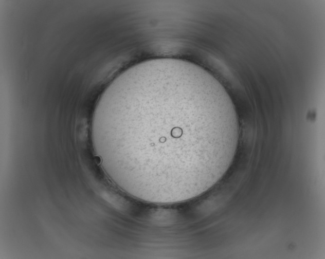 X0000092010549200709271531