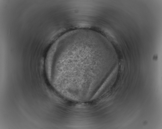 X0000092010550200709271531