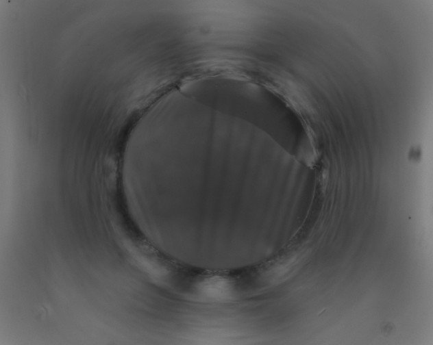 X0000092010551200709271531