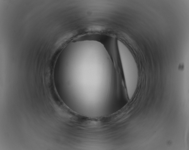 X0000092010552200709271531