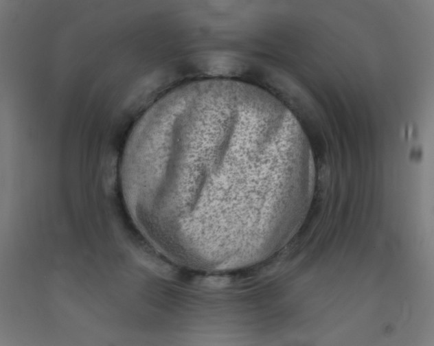 X0000092010554200709271531