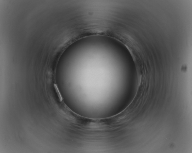 X0000092010556200709271531