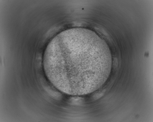 X0000092010557200709271531