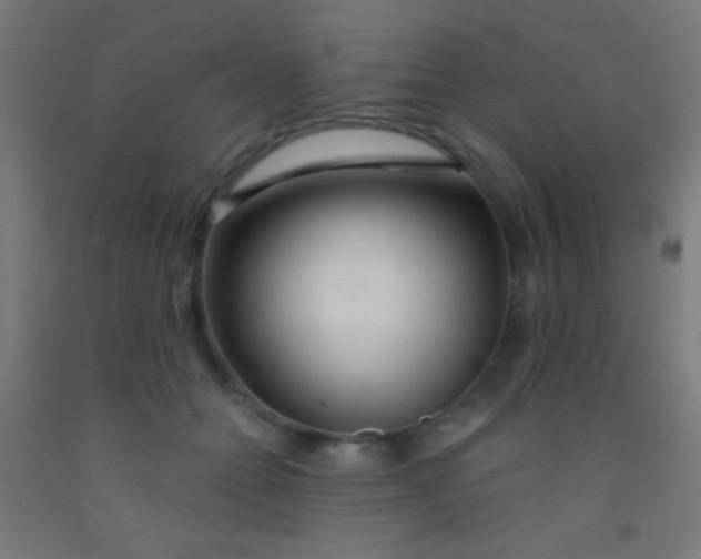 X0000092010558200709271531