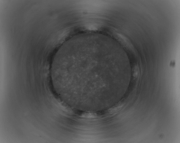 X0000092010559200709271531