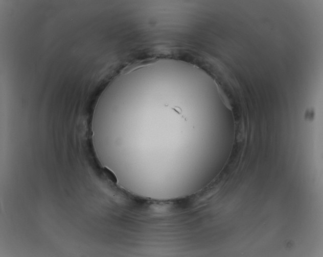 X0000092010560200709271531