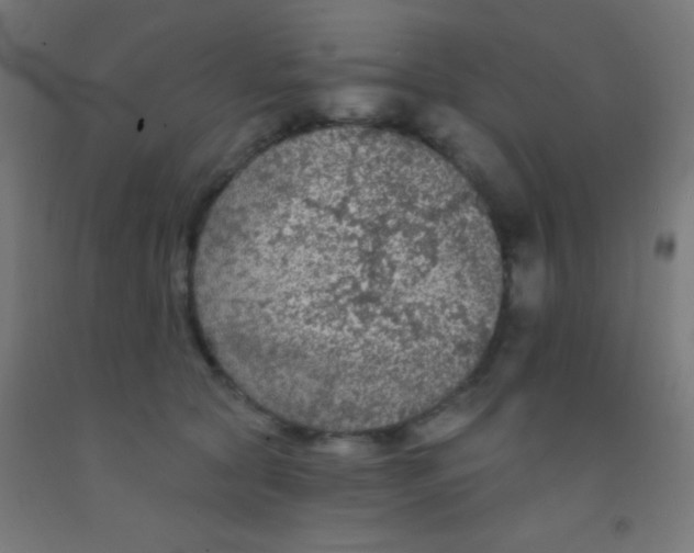 X0000092010561200709271531