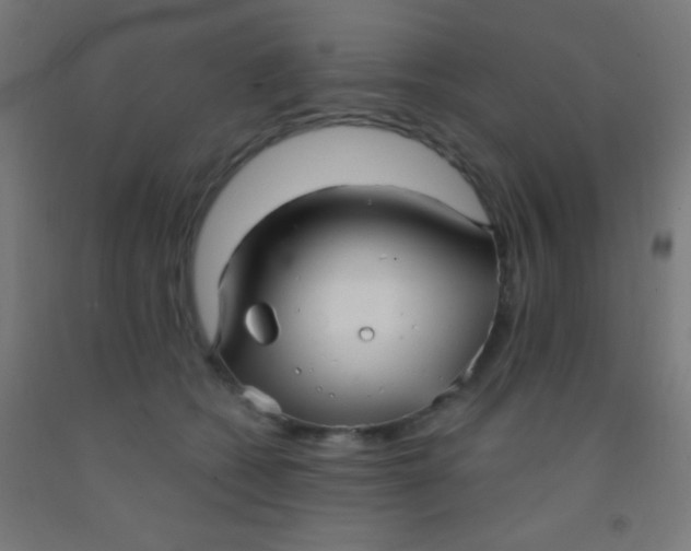 X0000092010562200709271531