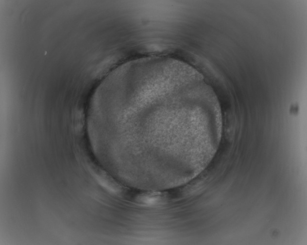 X0000092010563200709271531