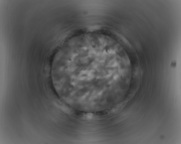 X0000092010565200709271532