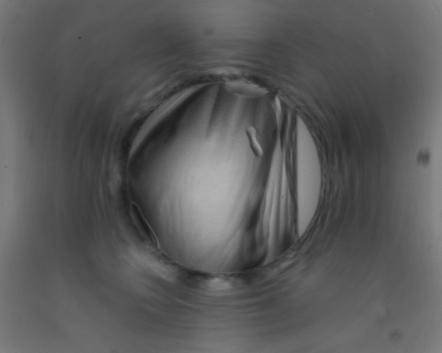 X0000092010566200709271532