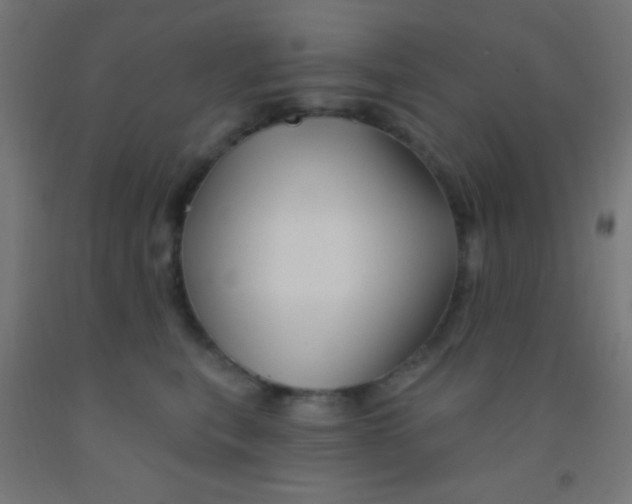 X0000092010567200709271532