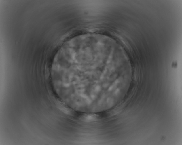 X0000092010569200709271532