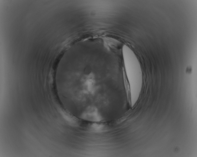 X0000092010570200709271532