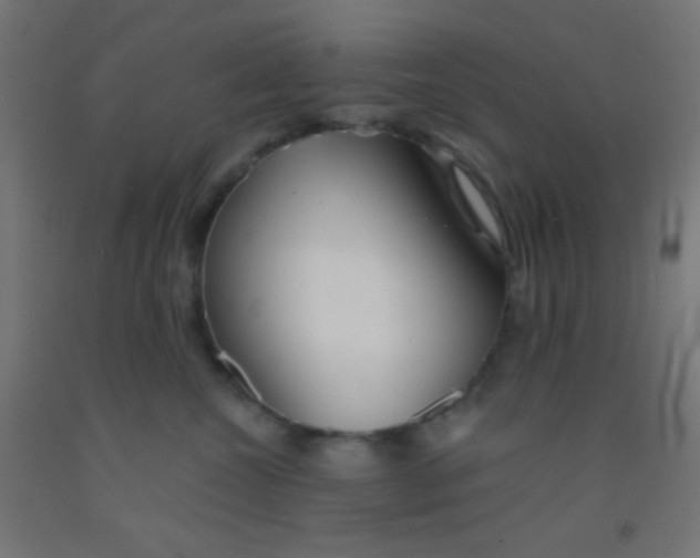 X0000092010572200709271532