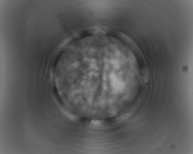 X0000092010573200709271532