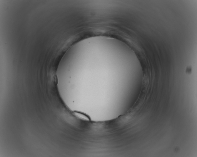 X0000092010574200709271532