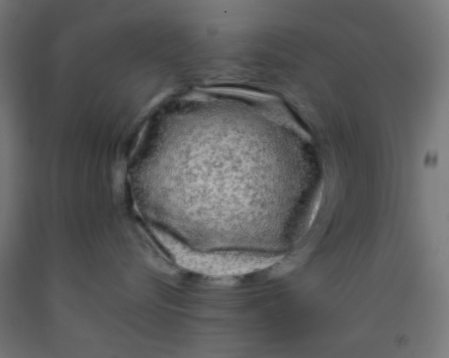 X0000092010576200709271532