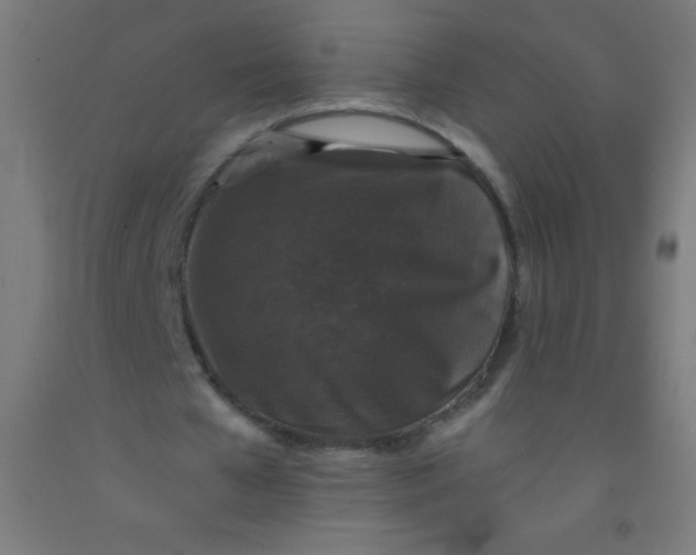 X0000092010577200709271531