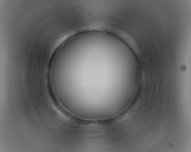 X0000092010578200709271531