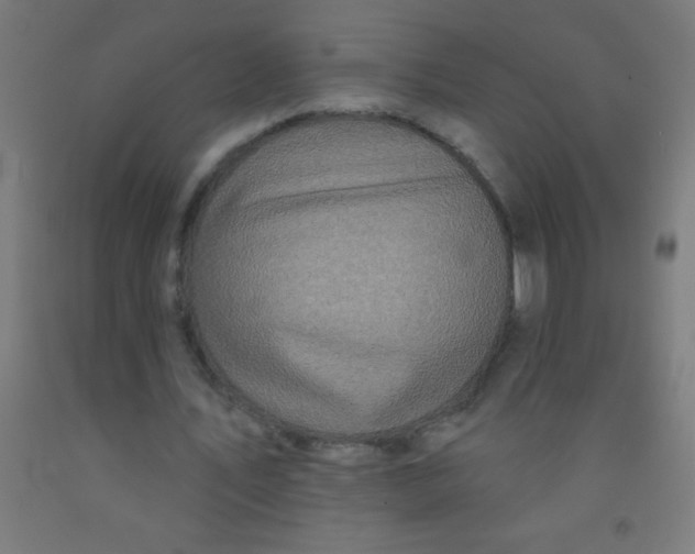 X0000092010579200709271531