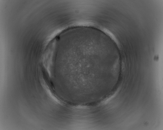 X0000092010581200709271531