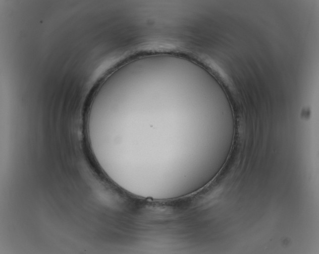 X0000092010582200709271531