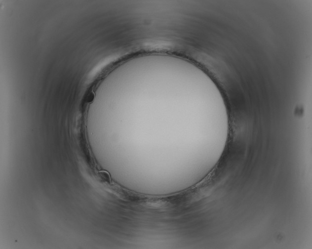 X0000092010583200709271531