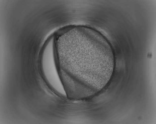 X0000092010584200709271531