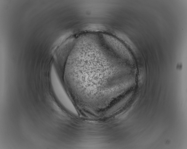 X0000092010585200709271531