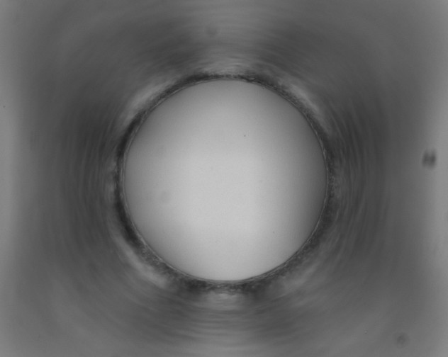 X0000092010586200709271531